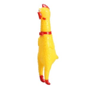 Đồ chơi cho chó mèo Paw hình con gà