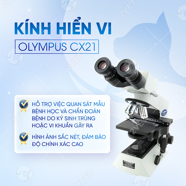 kinh-hien-vi