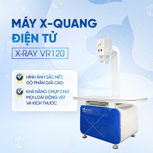 may-x-quang-dien-tu