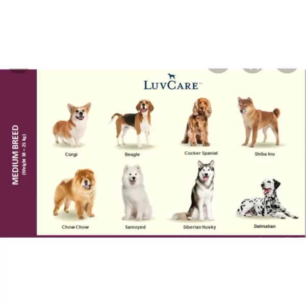 Luvcare Puppy Medium Breed thức ăn cho chó con giống vừa (Gói 500g) - Ảnh 5