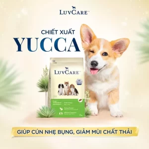 Luvcare Puppy Medium Breed thức ăn cho chó con giống vừa (Gói 500g)