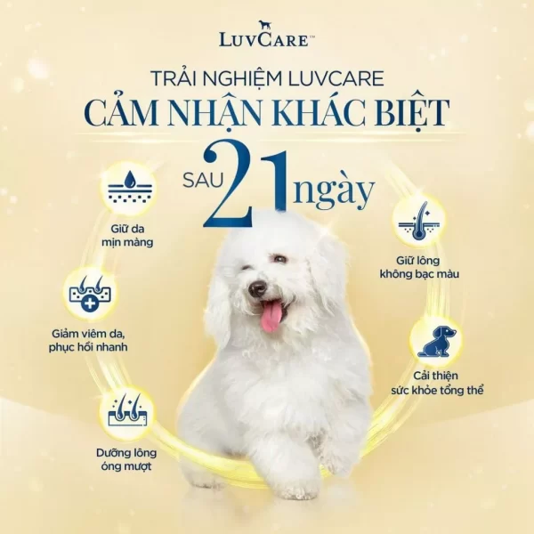 Luvcare Adult Large Breed Thức ăn cho chó trưởng thành giống lớn (Túi 3kg) - Ảnh 3