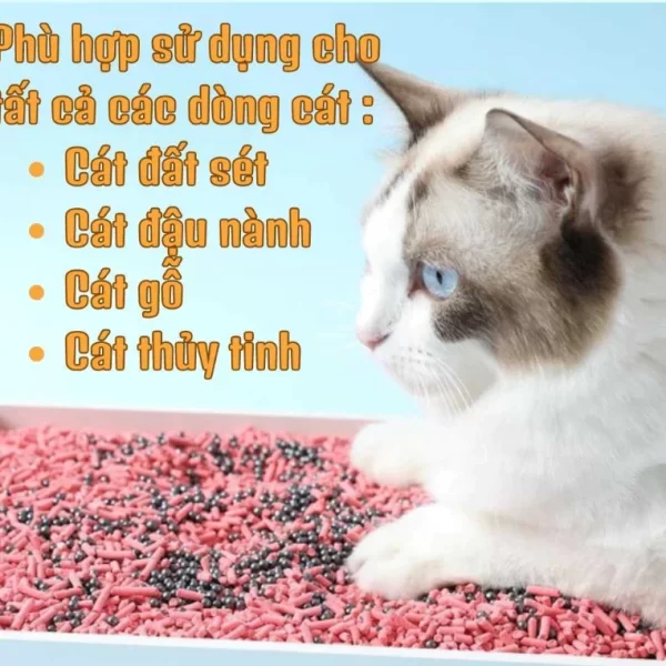 Hạt than hoạt tính khử mùi cát vệ sinh cho Mèo Cat Litter hấp thụ mùi giảm mùi hôi vệ sinh của mèo - Ảnh 4