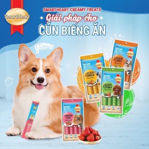 Súp Thưởng Cho Chó Súp Smartheart Creamy Dog Treats