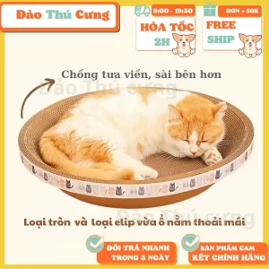 Bàn Cào Móng Cho Mèo Ổ cào móng cực lớn, bàn cào móng cho mèo tặng catnip 5gr