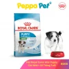 [ 800G - 2KG ] Thức Ăn Cho Chó - Hạt Royal Canin Mini Puppy - Dinh Dưỡng Hoàn Chỉnh Dành Cho Chó Con Giống Nhỏ