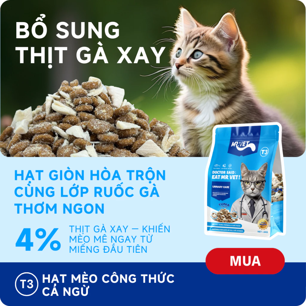 Thức Ăn Cho Mèo MRVET Dạng Hạt T3 Gói 1KG Cải Thiện Sức Khoẻ Đường Tiết Niệu Cho Mèo Mọi Lứa Tuổi - Ảnh 3