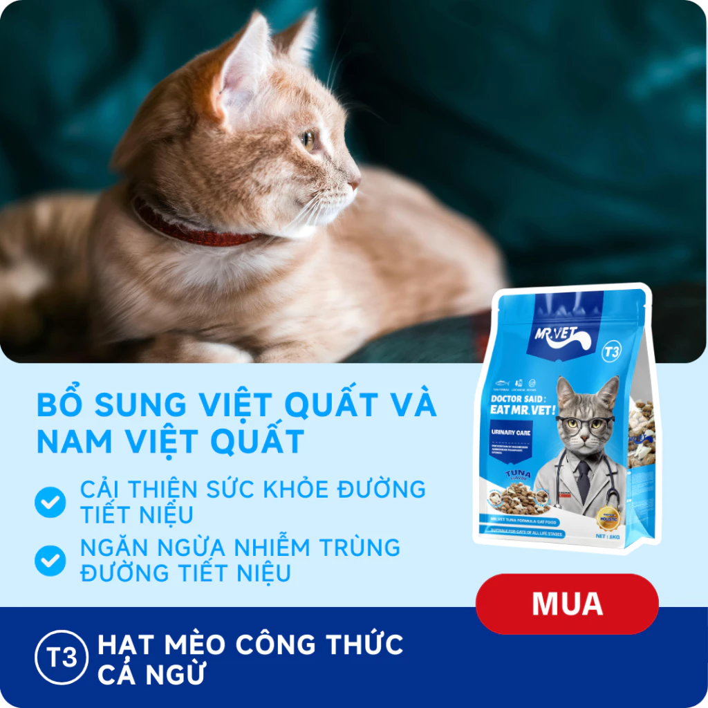 Thức Ăn Cho Mèo MRVET Dạng Hạt T3 Gói 1KG Cải Thiện Sức Khoẻ Đường Tiết Niệu Cho Mèo Mọi Lứa Tuổi - Ảnh 4