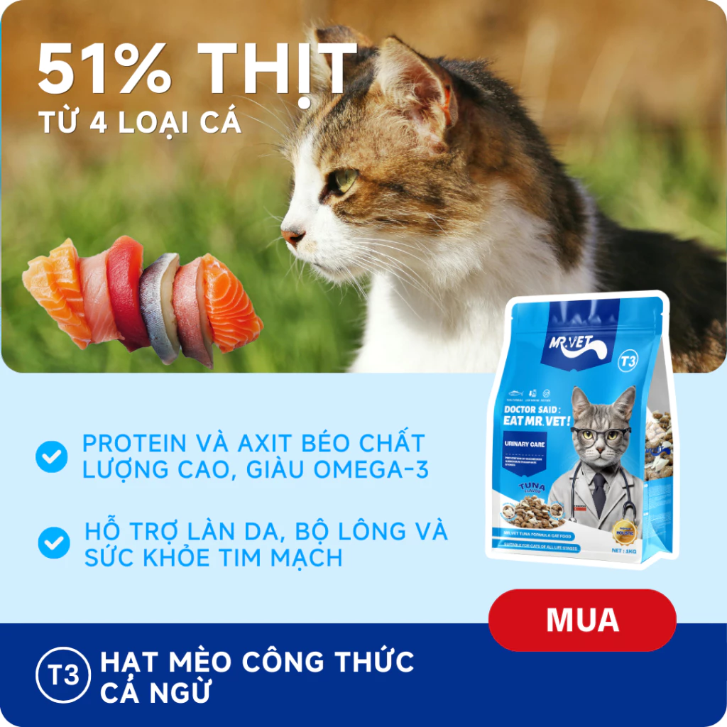 Thức Ăn Cho Mèo MRVET Dạng Hạt T3 Gói 1KG Cải Thiện Sức Khoẻ Đường Tiết Niệu Cho Mèo Mọi Lứa Tuổi - Ảnh 5