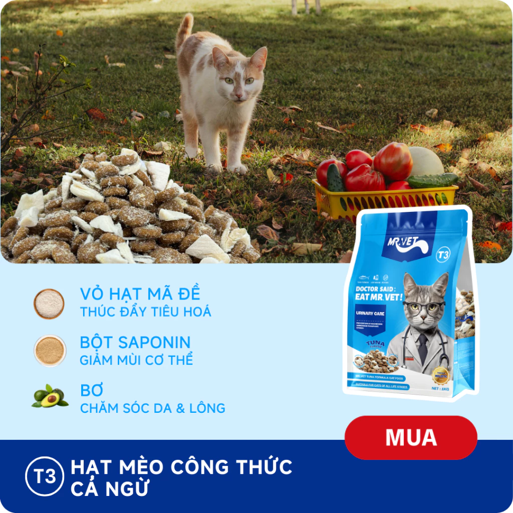 Thức Ăn Cho Mèo MRVET Dạng Hạt T3 Gói 1KG Cải Thiện Sức Khoẻ Đường Tiết Niệu Cho Mèo Mọi Lứa Tuổi - Ảnh 6