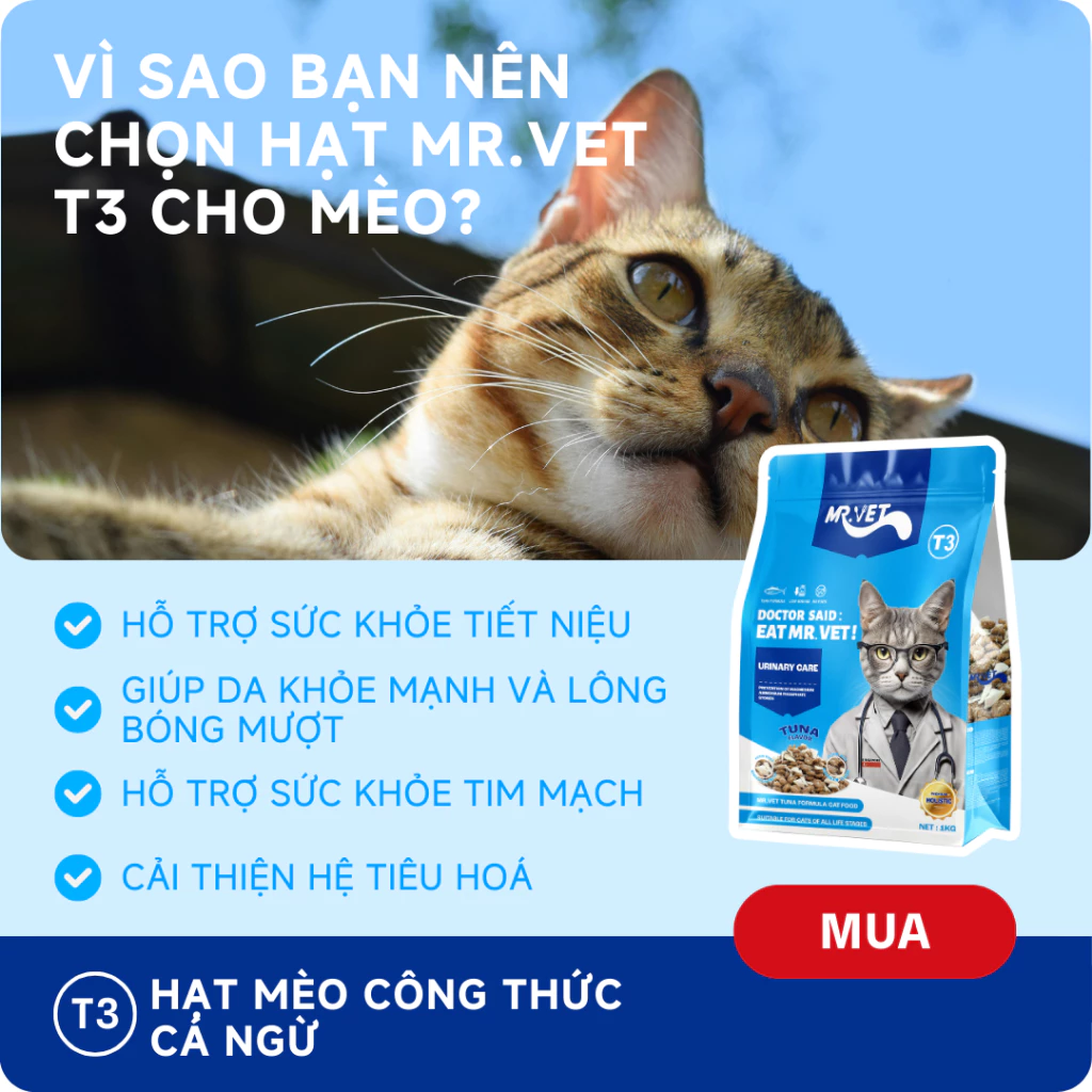 Thức Ăn Cho Mèo MRVET Dạng Hạt T3 Gói 1KG Cải Thiện Sức Khoẻ Đường Tiết Niệu Cho Mèo Mọi Lứa Tuổi - Ảnh 7
