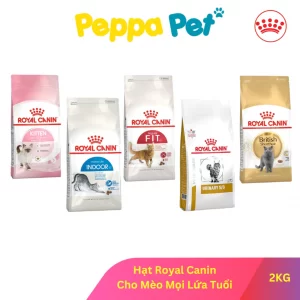 Hạt Royal Canin Cho Mèo Anh Lông Ngắn, Indoor 27, Fit 32, Urinary S/O, Hairball, Kitten [1.5 - 2KG]
