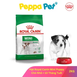 [ 800G - 2KG ] Thức Ăn Cho Chó - Hạt Royal Canin Mini Adult Dành Cho Chó Trưởng Thành Giống Nhỏ