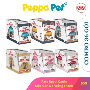 [COMBO 36 x 85g] Thức Ăn Ướt - Pate Royal Canin Kitten, Urinary, British Shorthair, Hairskin Cho Mèo
