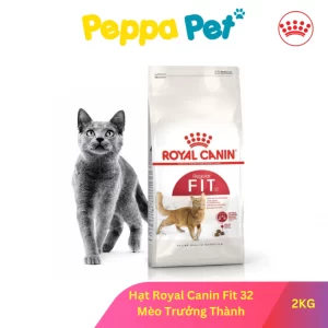[ 2KG ] Thức Ăn Mèo - Hạt Royal Canin Fit 32 Dành Cho Mèo Thường Xuyên Vận Động