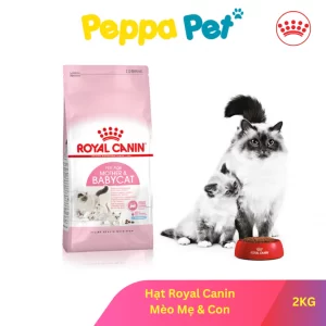 [ 2KG ] Thức Ăn Mèo - Hạt Royal Canin Mother & Baby - Mèo Mẹ & Mèo Con